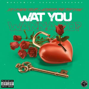 收聽DJ Chase的Wat You Wanna Do? (feat. Lazaris the Top Don) (Radio Edit)歌詞歌曲