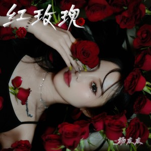 Album 红玫瑰(DJ九零版) from 杨友友
