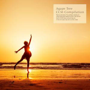 Album CCM Piano Collection For Agape Tree's New Compensation from 