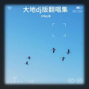 Listen to 你瞒我瞒 (cover: 陈柏宇) (其他) song with lyrics from dj小冷Remix