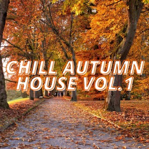 Various Artists的專輯Chill Autumn House Vol.1