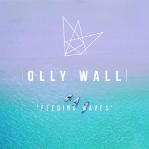 ดาวน์โหลดและฟังเพลง Feeding Waves พร้อมเนื้อเพลงจาก Olly Wall