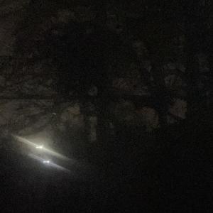 收聽Sawlvy的imthinkingagain (Explicit)歌詞歌曲