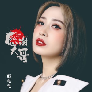 Listen to 感谢大哥 (完整版) song with lyrics from 费小祥