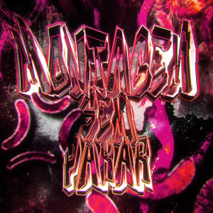 Listen to MONTAGEM SEM PARAR (Ultra Slowed) song with lyrics from STXNIX