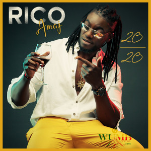 Album 20 / 20 from Rico Amaj