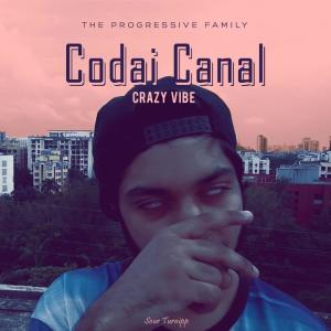 Dengarkan Codai Canal lagu dari Crazy Vibe dengan lirik