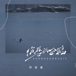 Album 伤感的企鹅 from 许亚童