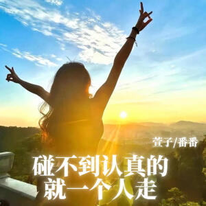 Album 碰不到认真的就一个人走 from 萱子