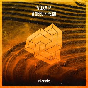 Dengarkan lagu A Seed nyanyian Voxy P dengan lirik