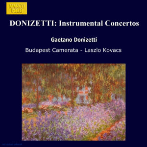Camerata Budapest的專輯Donizetti: Instrumental Concertos
