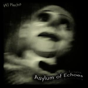 ดาวน์โหลดและฟังเพลง Many corridors พร้อมเนื้อเพลงจาก WJ Plecha