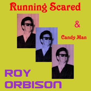 ดาวน์โหลดและฟังเพลง Go Go Go พร้อมเนื้อเพลงจาก Roy Orbison