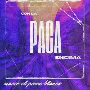 收聽Maceo El Perro Blanco的con la paca encima歌詞歌曲