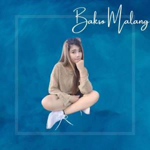 Princess Fitria的專輯Bakso Malang (Remix)