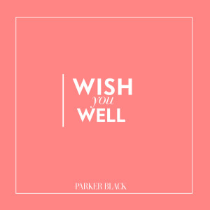 ดาวน์โหลดและฟังเพลง Wish You Well พร้อมเนื้อเพลงจาก Parker Black