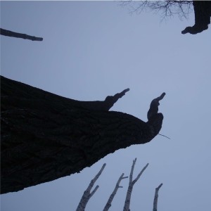 Listen to sweet clouds song with lyrics from obscuraboy