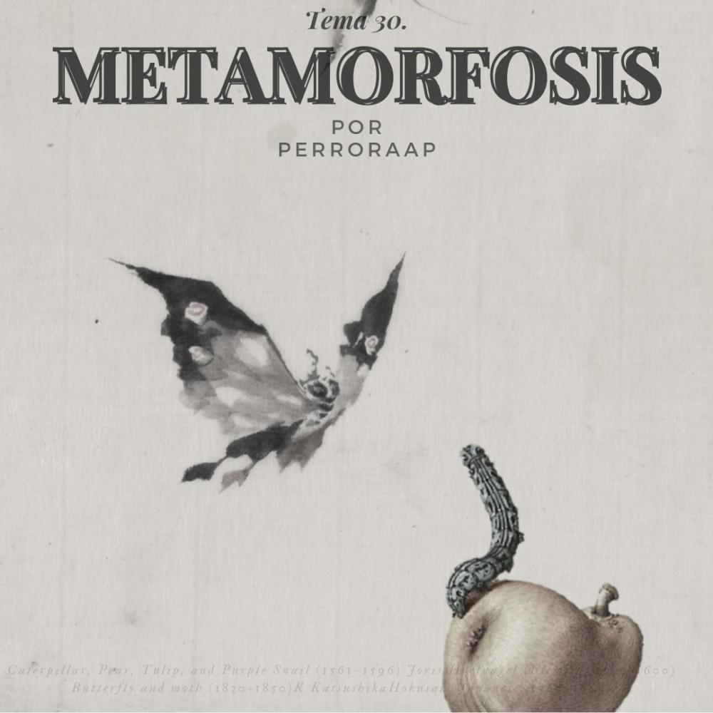 Tema 30. Metamorfosis (Explicit)