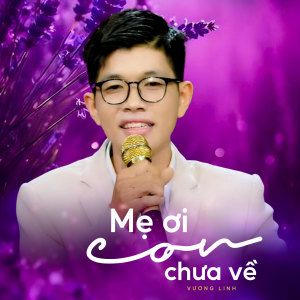 Listen to Mẹ Ơi Con Chưa Về song with lyrics from Vương Linh