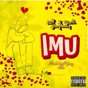 Album IMU (Explicit) from Stonebwoy