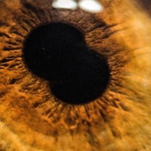 收听UKD的mirarte歌词歌曲