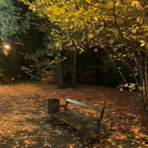 Album за окном (Осень) from 