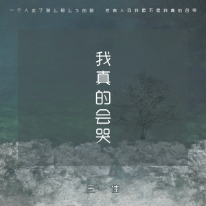Listen to 我真的会哭 song with lyrics from 王一佳