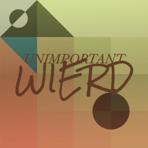 Various的专辑Unimportant Wierd
