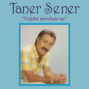 Listen to Kıymetini Bilemeden song with lyrics from Taner Şener