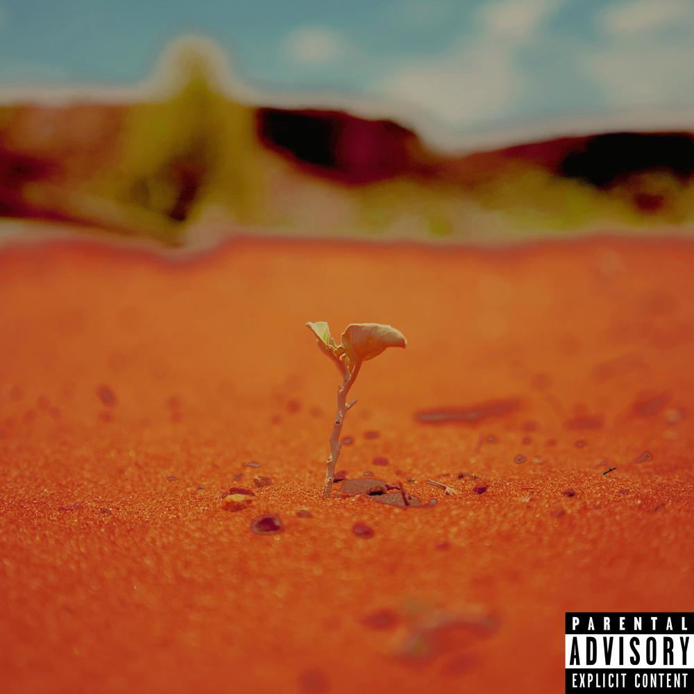 Shake Junction (feat. Mel Rosa)