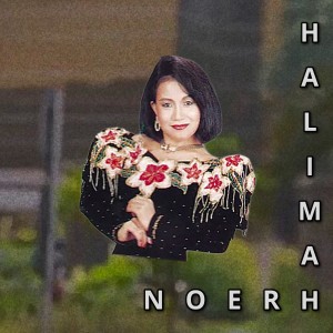 Noer Halimah的专辑Shandy