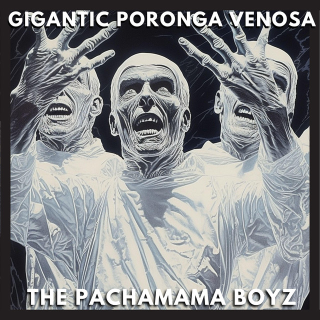 The Pachamama Boyz