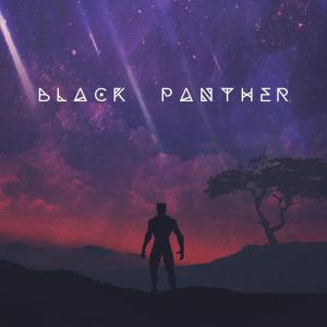 Album Black Panther Lofi (Lift Me Up) from Sunday Vibes
