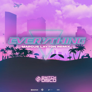 ดาวน์โหลดและฟังเพลง Everything (Marcus Layton Remix) พร้อมเนื้อเพลงจาก Switch Disco