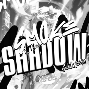DJ JUNIN TKZ的專輯Smoke In The Shadow (SLOWED) (Explicit)