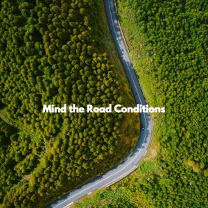 Elevator Music Project的專輯Mind the Road Conditions