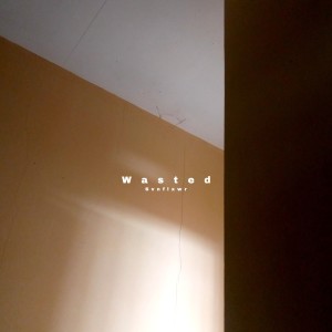 Listen to Wasted song with lyrics from SVNFLXWR