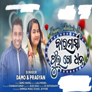 Album Baramasi Phul Godhana from Damo Hantal
