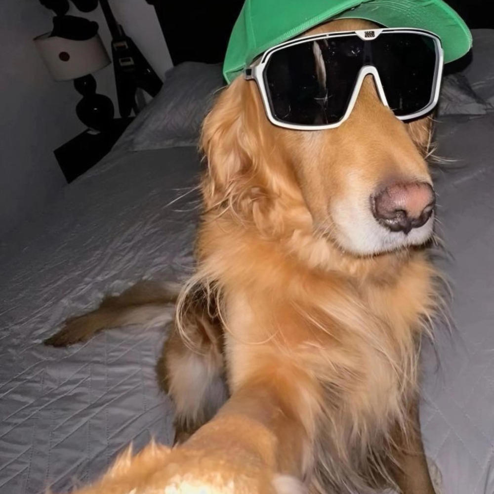 DOG HER (Explicit)