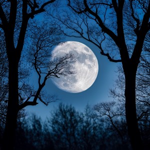อัลบัม Music For The Gentle Descent Into Restful Sleep ศิลปิน Lullabies for Deep Sleep