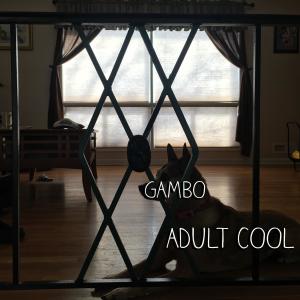 Listen to You Got It!(RIP Murphy Erg) (Explicit) song with lyrics from Gambo