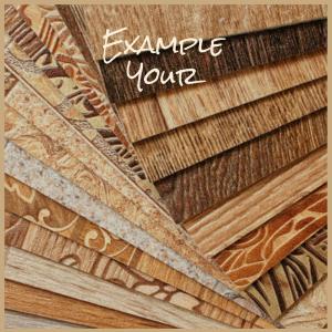 Album Example Your oleh Various