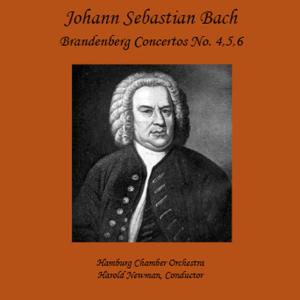 Hamburg Chamber Orchestra的專輯Bach: Brandenburg Concertos 4, 5 & 6