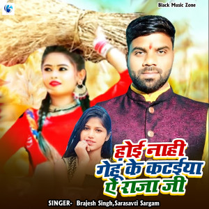 Listen to Hoi Nahi Gehum Ke Kataiya Ae Raja Ji song with lyrics from Brajesh Singh