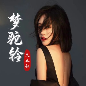 收聽久兒紅的夢駝鈴 (新聲版DJ默涵版)歌詞歌曲