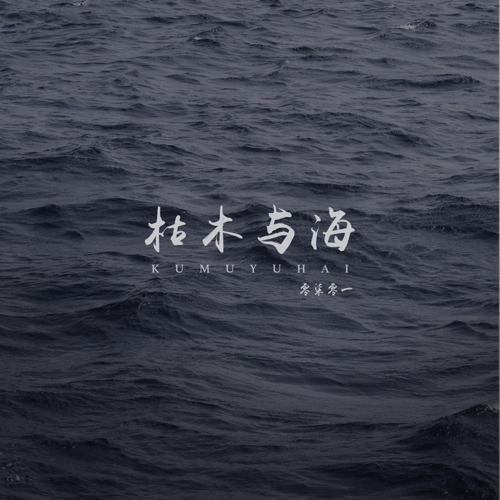 枯木与海 (DJ沈念版伴奏)