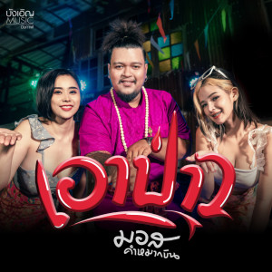 Listen to เอาป่าว song with lyrics from มอส คำหมากบิน