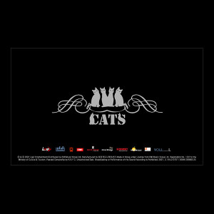 ดาวน์โหลดและฟังเพลง Handsome Boy พร้อมเนื้อเพลงจาก 캣츠