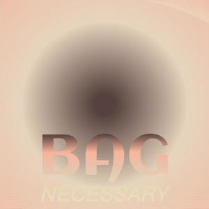 Various Artists的專輯Bag Necessary