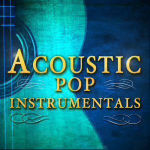 อัลบัม Acoustic Pop Instrumentals ศิลปิน Chart Hits Like That